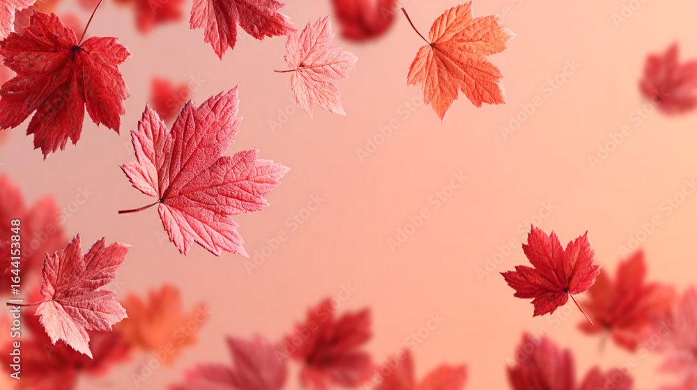 Poster vibrant red and pink maple leaves gracefully falling against a soft gradient background, creating a 