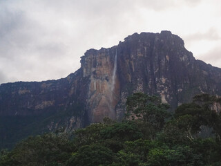  Panoramic view of the world's highest waterfall, Angel Falls, in Venezuela