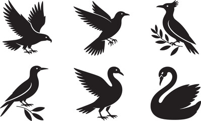 Obraz premium Silhouette Bird Collection Vector Art Illustration Isolated on Transparent Backdrop