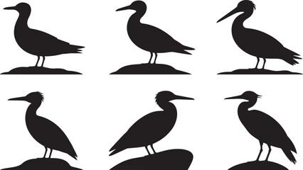 Fototapeta premium Silhouette Cormorant Collection Vector Illustration Set Standing Isolated Design