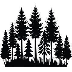 Obraz premium Evergreen forest silhouette trees pine trees