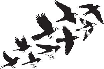 Obraz premium Flock of Birds Silhouettes Vector Illustration Diverse Avian Group Flying Together