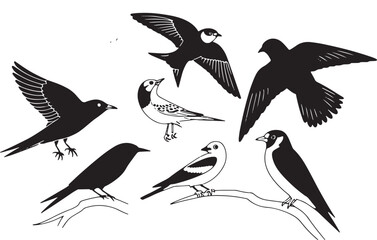 Obraz premium Bird Silhouettes Vector Set Diverse Avian Species Flying Perching Wildlife Illustration