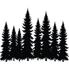 Obraz premium Black pine forest silhouette pine trees white