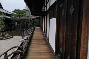 Obraz premium 京都、仁和寺、佛寺、寺院、瓦當、文化財、木造建築、古代建築、日本文化、歷史名勝、文化財、木、綠色、青空、写真素材