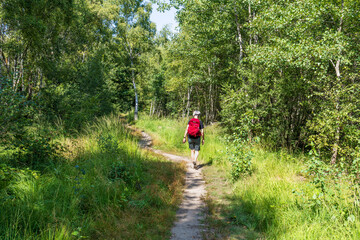 Obraz premium Wandern auf stillen Pfaden durch die Drover Heide im Kreis Düren