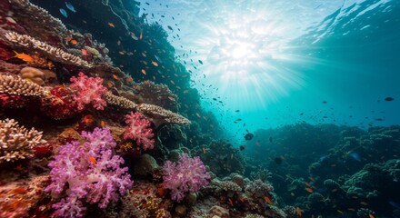 Naklejka premium Underwater Coral Canyon Teeming with Tropical Fish