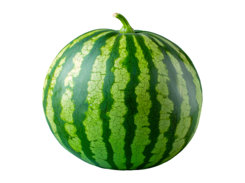 Uncut ripe organic watermelon isolated on transparent background.