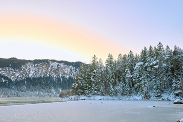 Mesmerizing Twilight Alpine Wonderland: Eibsee Lake Reflects Snow-Capped Zugspitze Mountain Amidst Illuminated Pine Forest Enchanting Winter Landscape Captures Serene Beauty of German Ski Resort