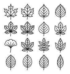 Collection of 16 black line leaf icons on gray background