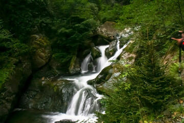 waterfall in the forest