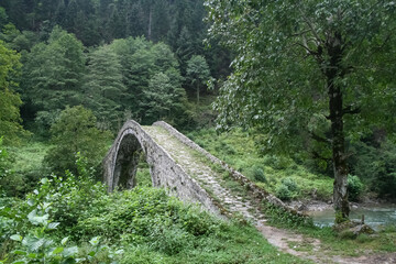 old bridge in the forest