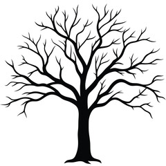 Obraz premium Black Silhouette of a Bare Deciduous Tree with Intricate Branches on White background