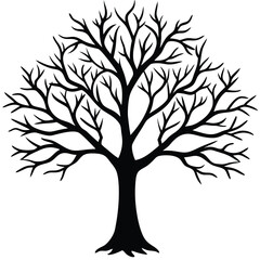 Obraz premium Silhouette of a bare deciduous tree with intricate branches on white background vector illustration