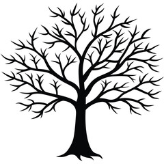 Obraz premium Silhouette of a bare deciduous tree with intricate branches on white background vector illustration