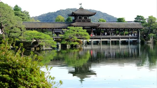 日本、京都、平安神宮、神苑、桜、花、庭園、春、歷史名勝、綠色、風景、青空、春、写真素材	