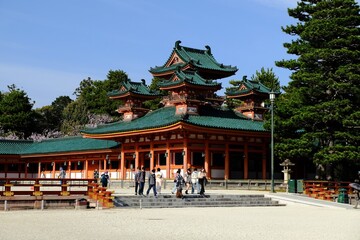 Obraz premium 日本、京都、平安神宮、神苑、桜、花、庭園、春、歷史名勝、綠色、風景、青空、春、写真素材 