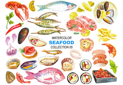 Vector watercolor painted seafood clipart. Hand drawn design elements isolated on white background.