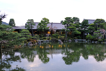 Obraz premium 日本、京都、平安神宮、神苑、桜、花、庭園、春、歷史名勝、綠色、風景、青空、春、写真素材 