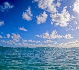 Obraz premium Sea in Barbados