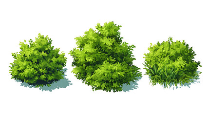 Verdant foliage clusters in diverse shapes green bushes leafy plants