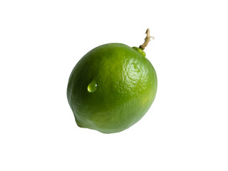 Lime isolated on white background with bright green peel and fresh citrus texture
