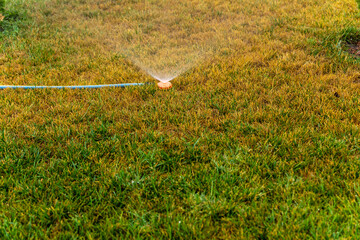 Garden Sprinkler Watering Grass