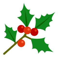 Holly Berry Stems on White Background