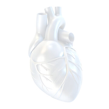 Human Heart. 3d render. Isolated, contains clipping path.