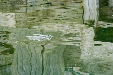 A small whirlpool in a calm still green water pond