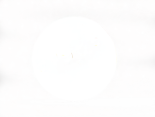 Realistic soap foam bubbles isolated on transparent background