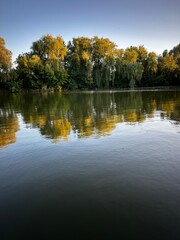 Trees in evening light reflected in calm water.