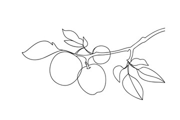 Apple Branch Linear Drawing, Fruit Sketch, Botanical Illustration