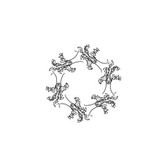 Fototapeta premium Symmetrical Design Whimsically Intricate