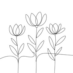 Wildflower Botanical Trio. A natural trio of wildflower stems with simple blossoms and airy leaves, ideal for rustic and organic-themed projects.