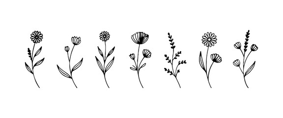 Vintage Meadow Flower Collection. A refined set of tall, slender floral illustrations with varied blossoms, elegant stems, and leafy accents.