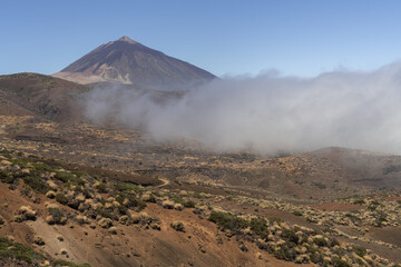 Wulkan Teide na Teneryfie, Parque Nacional del Teide  © Piotr Szpakowski
