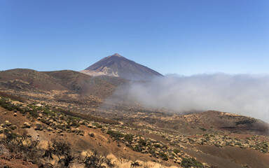 Wulkan Teide na Teneryfie, Parque Nacional del Teide  © Piotr Szpakowski