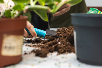 Gardening tool and plants pots with soil isolated with  blurred background