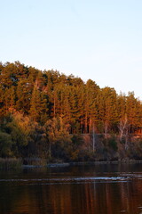 Golden sunlight bathes the forest along the tranquil river during early evening hours