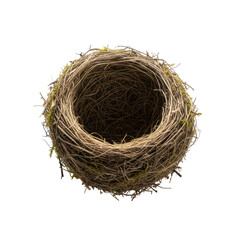 Intricate empty bird nest with moss on transparent background