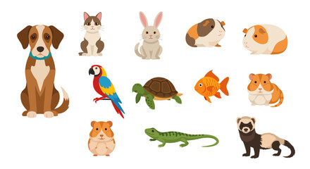 Fototapeta premium Illustration of various domestic animals including dog cat rabbit guinea pig parrot turtle and more