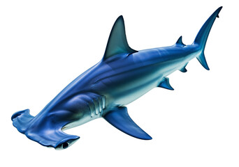 Fototapeta premium Great hammerhead shark (Sphyrna mokarran) PNG with a transparent background, a glossy and dynamic oceanic predator.