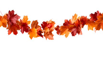 Colorful autumn leaves garland on transparent background, PNG	