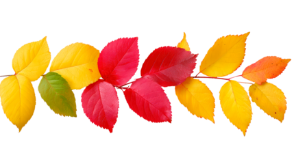 Vibrant autumn leaves with red, yellow, and green hues in a seamless pattern on transparent background, PNG
