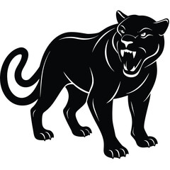 Obraz premium Black panther snarling with open mouth and sharp teeth on a white background big cat feline