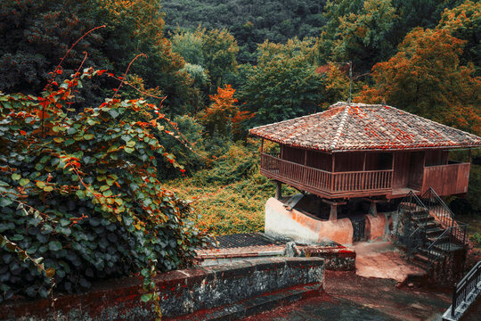 Traditional Asturian horreo granary on stone stilts with a tiled roof and wooden balcony, surrounded by lush green and autumn foliage in a rural forest setting