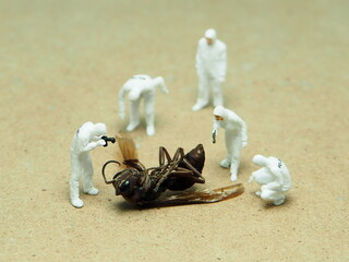 Mini toy of action figure at table with blurred background. Miniature photography concept design. Minifigure of scientist crew character with dead body of insect. Investigation and research.