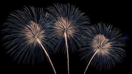 Obraz premium Colorful fireworks bursting in night sky during celebration 