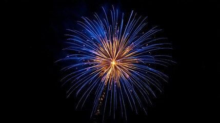 Fototapeta premium Colorful fireworks bursting in the night sky with blue and gold 